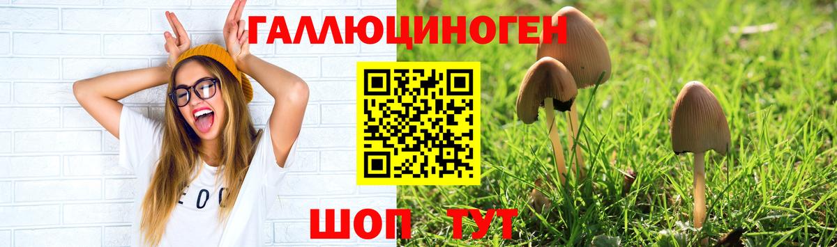 Галлюциногенные грибы мухоморы Заинск